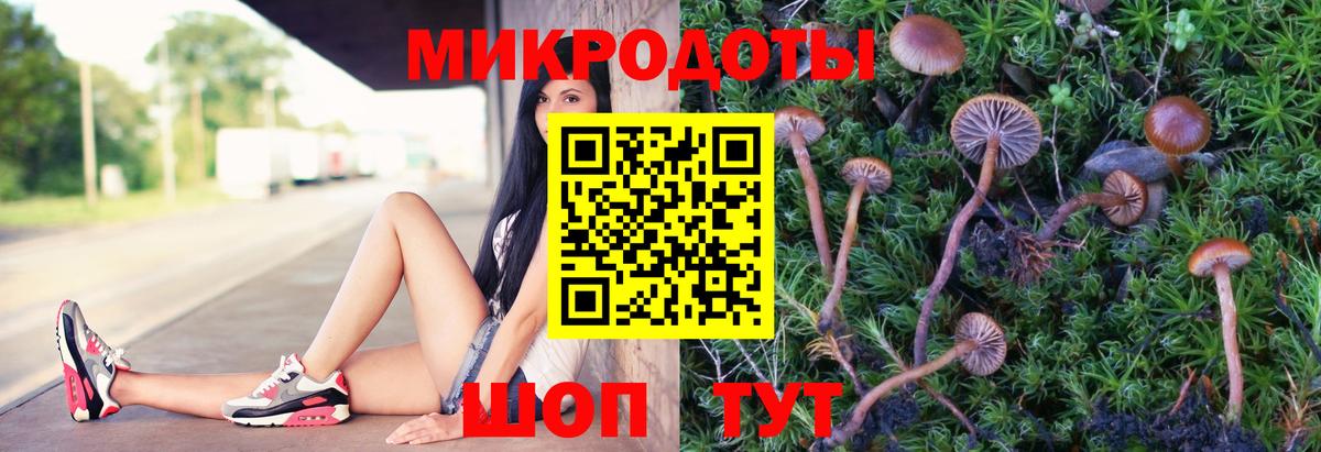 Галлюциногенные грибы Psilocybe  Вход с VPN  Сафоново 